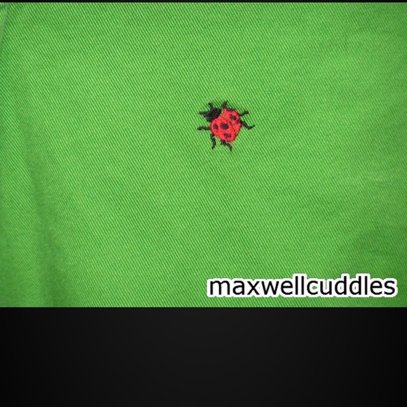 J CREW LADYBUG CRITTER GREEN SHORTS SIZE 2 NWT - Picture 3 of 7
